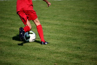 米兰体育·「中国」官方网站-中国篮球俱乐部青训体系绩效评估方法，篮球俱乐部青训营